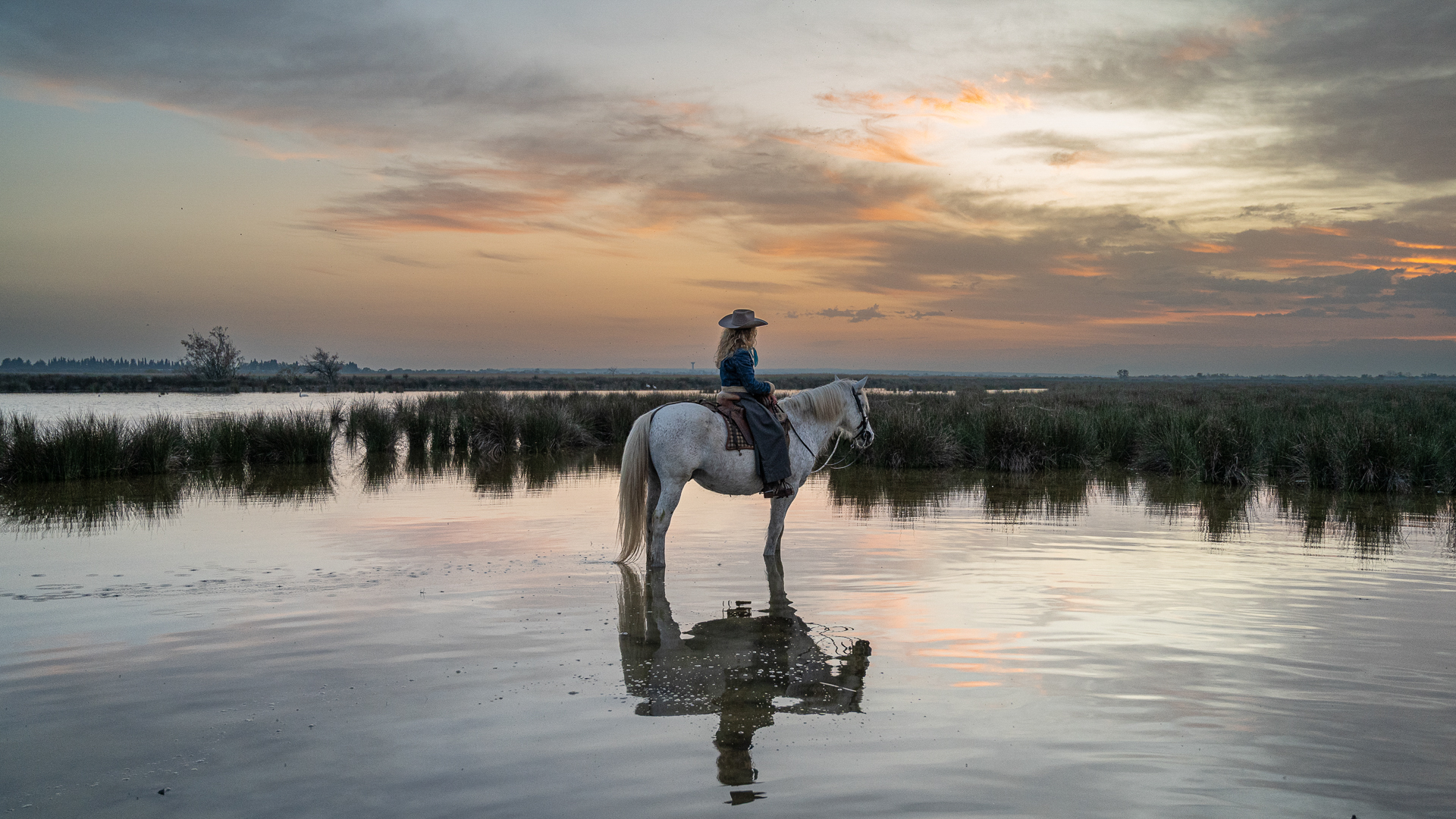 Dans les marais camarguais